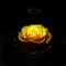 Preserved Real Roses with Colorful Mood Light Wishing Bottle, Eternal Rose, Never Withered Flowers, a Gifts for Women 4.3inch 1pcs (Yellow)